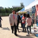 영중초교 이미지