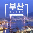 블루포니 게스트하우스 | 나혼자 부산여행 3박 4일 후기