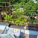 대호네민박 이미지