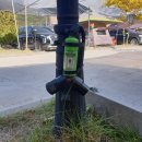 꿈꾸는 농부 오토캠핑장 이미지