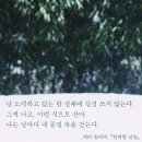 완벽한날들