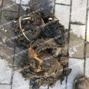 남악2로 22번길 이미지