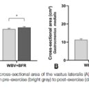 MUSCLE FLOW 이미지