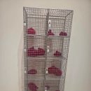 다우비 | 비오는 날제주 가볼만한 곳 추천. 포도뮤지엄 전시후기