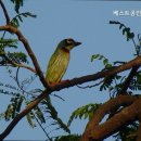 베스트공인중개사사무소 | 없는 깔끔한 공인중개사사무소] 베스트공인중개사사무소 서울 강남 베스트공인중개사사무소, 신뢰할 수...