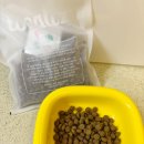 우리강아지 | 웰츠 독 어덜트 프리미엄생육사료, 까다로운 우리 강아지 입맛 사로잡은 급여 후기