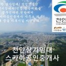 스카이컨설팅공인중개사사무소 이미지