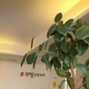 척척나은정형외과의원 이미지