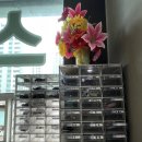 SG 골드 스크린 골프 이미지