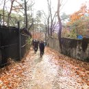 묘하우스 이미지