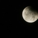월광(Moon Light) Daum카페