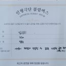 탑동초등학교 병설유치원 네이버블로그
