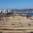 양평파크골프장 이미지