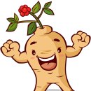 중앙건강원 이미지