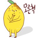 에스비에스(202) 이미지