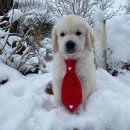 여주켄넬 이미지