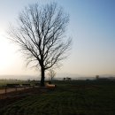 이슬목장 이미지