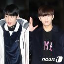 태선 뉴스1