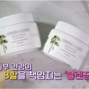 그린클린 이미지