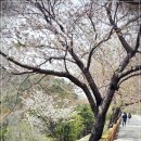 국선도수련원