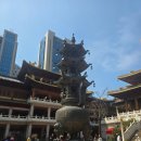 도시의빛2 | 상하이 도심 속 황금빛 사찰, 징안사 여행 후기