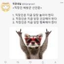 (주)현정 이미지