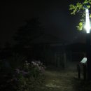 솔마루길 남산 이미지