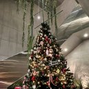 선트리레스토랑 이미지