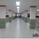 관저초등학교 이미지