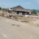 미래개발 네이버블로그