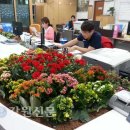 문곡소도동주민센터 이미지