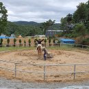 칠곡양떼목장 이미지