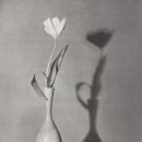 일기일회 이미지