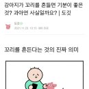 강아지가 꼬리를 흔드는 이유! 이미지