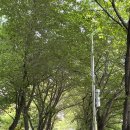 조금느린집 이미지