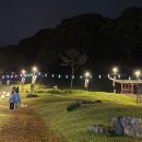 청사초롱 이미지