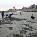 오이도어촌체험휴양마을 이미지