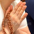 호인세상 이미지