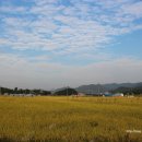 크로바농산물 이미지