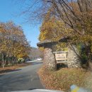 유치자연휴양림 관리사무소 이미지