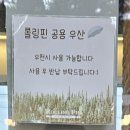 거제시청 내 | 거제 베이커리 카페 추천ㅣ롤링핀 거제시청점 후기