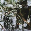 맑은내한의원 이미지