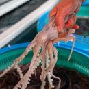 낙지골목주차장 이미지