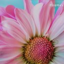 부산광역시노인건강센터 | 사상구 요양원 찾는다면 부산광역시노인건강센터 부산 사상구 요양원