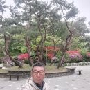 노송당구장 Daum카페