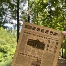 큰맘할매순대국 영월남면점 이미지