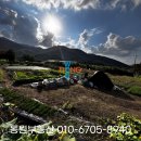 화원농장1 이미지