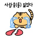 제주가는날