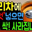 보리차에 &#39;이것&#39;넣으면 당뇨싹! 사라집니다 이미지