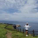 소금 Daum카페